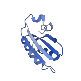 20207_6owg_DG_v1-2
Structure of a synthetic beta-carboxysome shell, T=4