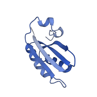 20207_6owg_DG_v1-3
Structure of a synthetic beta-carboxysome shell, T=4