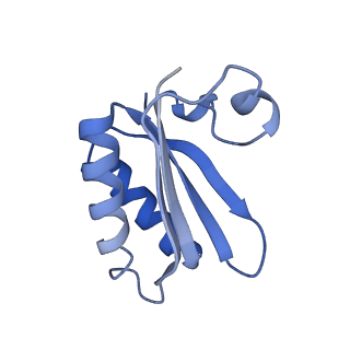 20207_6owg_DH_v1-2
Structure of a synthetic beta-carboxysome shell, T=4