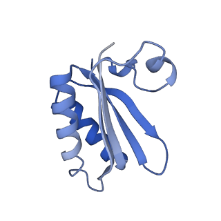 20207_6owg_DH_v1-3
Structure of a synthetic beta-carboxysome shell, T=4