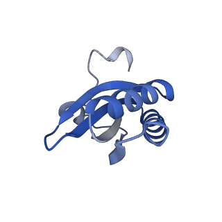20207_6owg_DI_v1-2
Structure of a synthetic beta-carboxysome shell, T=4