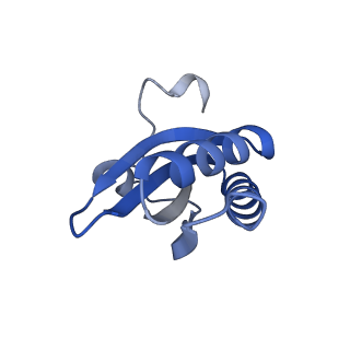 20207_6owg_DI_v1-3
Structure of a synthetic beta-carboxysome shell, T=4