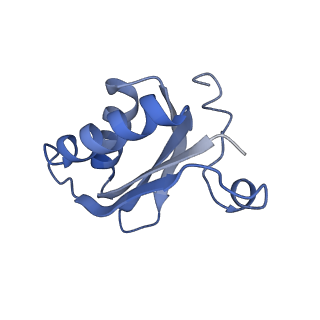 20207_6owg_DK_v1-2
Structure of a synthetic beta-carboxysome shell, T=4