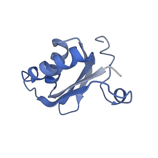 20207_6owg_DK_v1-3
Structure of a synthetic beta-carboxysome shell, T=4