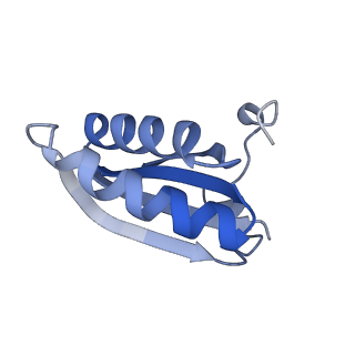 20207_6owg_DL_v1-2
Structure of a synthetic beta-carboxysome shell, T=4