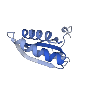 20207_6owg_DL_v1-3
Structure of a synthetic beta-carboxysome shell, T=4