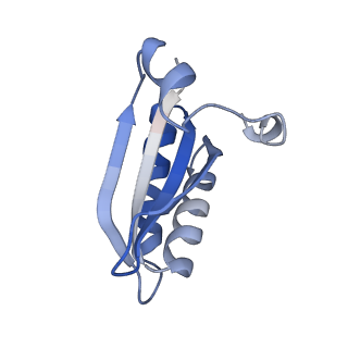 20207_6owg_DM_v1-2
Structure of a synthetic beta-carboxysome shell, T=4