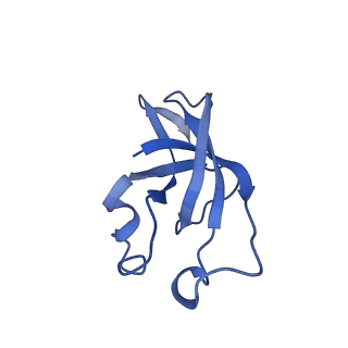 20207_6owg_DN_v1-2
Structure of a synthetic beta-carboxysome shell, T=4