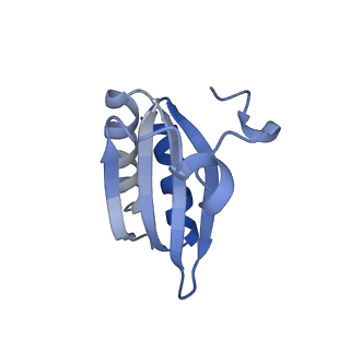 20207_6owg_DO_v1-2
Structure of a synthetic beta-carboxysome shell, T=4
