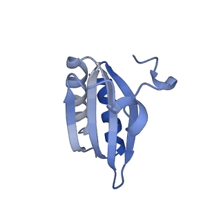 20207_6owg_DO_v1-3
Structure of a synthetic beta-carboxysome shell, T=4