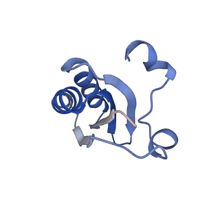 20207_6owg_DP_v1-2
Structure of a synthetic beta-carboxysome shell, T=4
