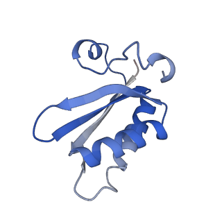 20207_6owg_DQ_v1-2
Structure of a synthetic beta-carboxysome shell, T=4