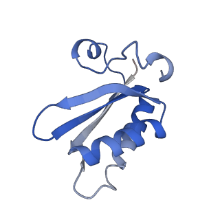 20207_6owg_DQ_v1-3
Structure of a synthetic beta-carboxysome shell, T=4