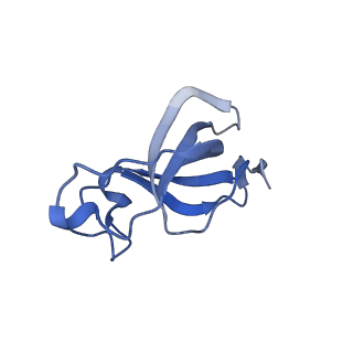20207_6owg_DR_v1-2
Structure of a synthetic beta-carboxysome shell, T=4