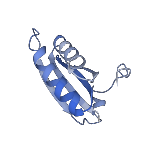 20207_6owg_DS_v1-2
Structure of a synthetic beta-carboxysome shell, T=4