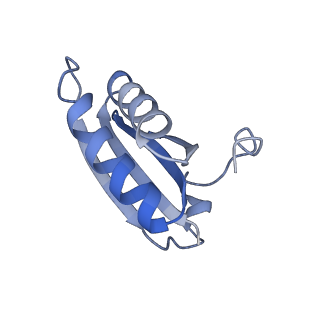 20207_6owg_DS_v1-3
Structure of a synthetic beta-carboxysome shell, T=4