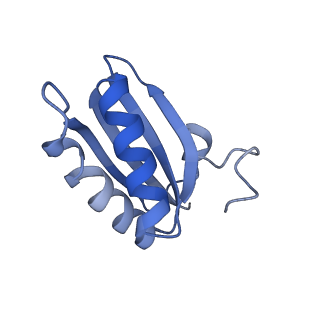 20207_6owg_DT_v1-2
Structure of a synthetic beta-carboxysome shell, T=4