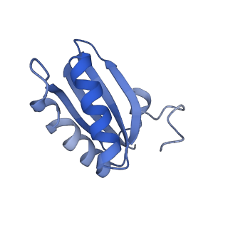 20207_6owg_DT_v1-3
Structure of a synthetic beta-carboxysome shell, T=4