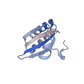 20207_6owg_DU_v1-2
Structure of a synthetic beta-carboxysome shell, T=4