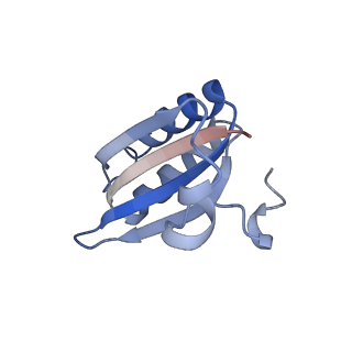 20207_6owg_DU_v1-3
Structure of a synthetic beta-carboxysome shell, T=4