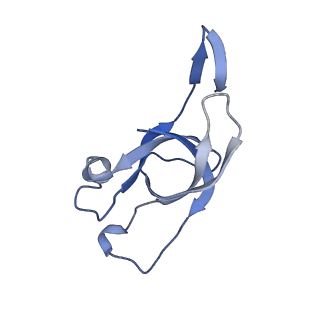 20207_6owg_DV_v1-2
Structure of a synthetic beta-carboxysome shell, T=4