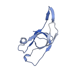 20207_6owg_DV_v1-3
Structure of a synthetic beta-carboxysome shell, T=4