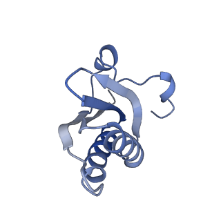 20207_6owg_DW_v1-2
Structure of a synthetic beta-carboxysome shell, T=4