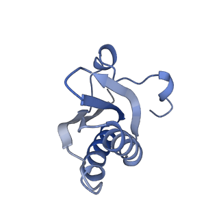 20207_6owg_DW_v1-3
Structure of a synthetic beta-carboxysome shell, T=4