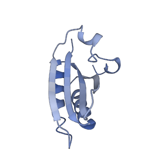 20207_6owg_DX_v1-2
Structure of a synthetic beta-carboxysome shell, T=4
