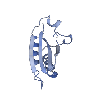 20207_6owg_DX_v1-3
Structure of a synthetic beta-carboxysome shell, T=4