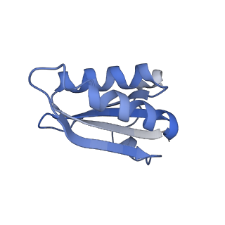 20207_6owg_DY_v1-2
Structure of a synthetic beta-carboxysome shell, T=4