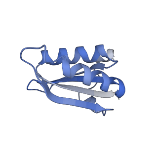 20207_6owg_DY_v1-3
Structure of a synthetic beta-carboxysome shell, T=4