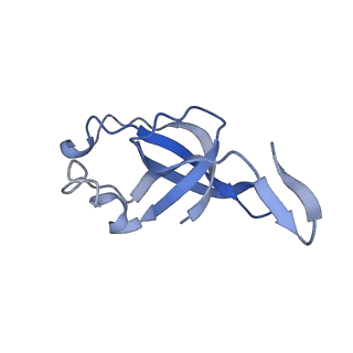 20207_6owg_DZ_v1-2
Structure of a synthetic beta-carboxysome shell, T=4