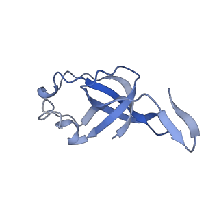 20207_6owg_DZ_v1-3
Structure of a synthetic beta-carboxysome shell, T=4