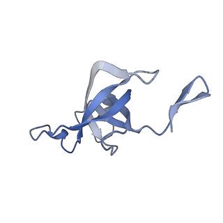 20207_6owg_D_v1-3
Structure of a synthetic beta-carboxysome shell, T=4