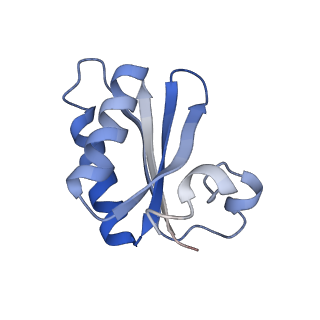 20207_6owg_E0_v1-2
Structure of a synthetic beta-carboxysome shell, T=4