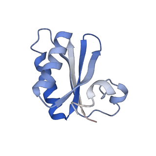 20207_6owg_E0_v1-3
Structure of a synthetic beta-carboxysome shell, T=4