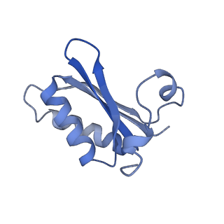 20207_6owg_E1_v1-2
Structure of a synthetic beta-carboxysome shell, T=4