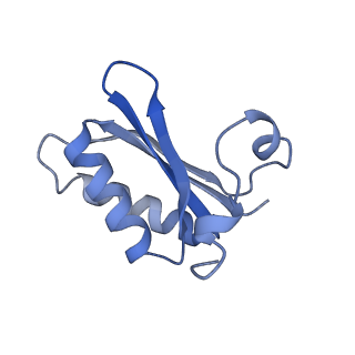 20207_6owg_E1_v1-3
Structure of a synthetic beta-carboxysome shell, T=4