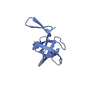 20207_6owg_E3_v1-2
Structure of a synthetic beta-carboxysome shell, T=4
