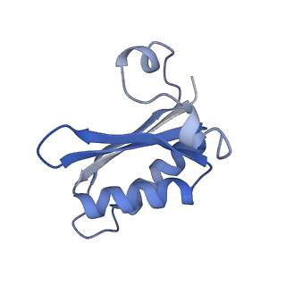 20207_6owg_E4_v1-2
Structure of a synthetic beta-carboxysome shell, T=4