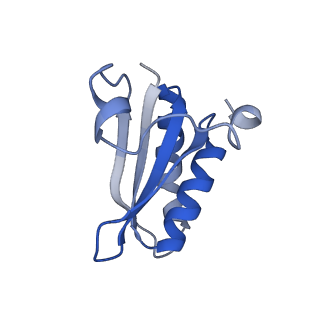 20207_6owg_E5_v1-2
Structure of a synthetic beta-carboxysome shell, T=4
