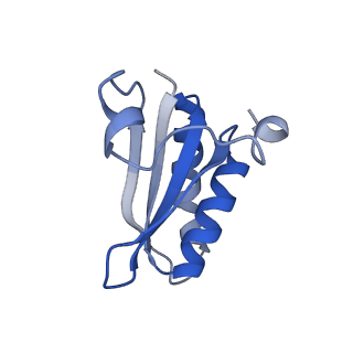 20207_6owg_E5_v1-3
Structure of a synthetic beta-carboxysome shell, T=4