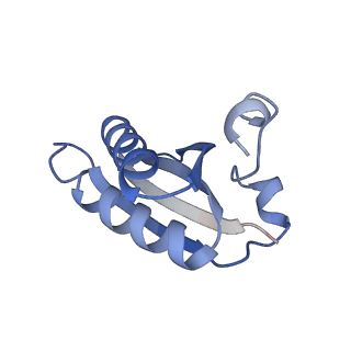 20207_6owg_E6_v1-2
Structure of a synthetic beta-carboxysome shell, T=4