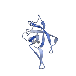 20207_6owg_E7_v1-3
Structure of a synthetic beta-carboxysome shell, T=4