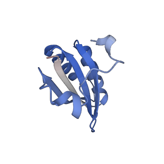 20207_6owg_EA_v1-2
Structure of a synthetic beta-carboxysome shell, T=4