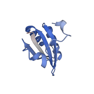 20207_6owg_EA_v1-3
Structure of a synthetic beta-carboxysome shell, T=4