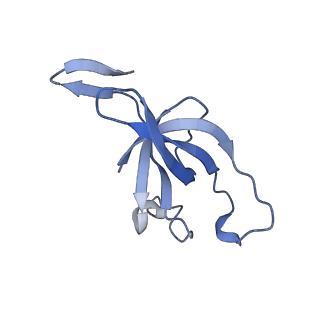 20207_6owg_EB_v1-2
Structure of a synthetic beta-carboxysome shell, T=4
