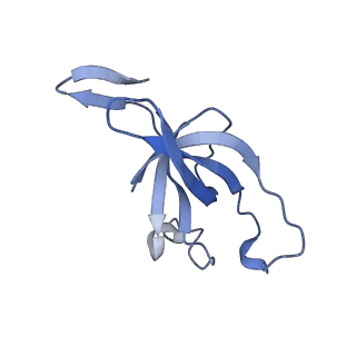 20207_6owg_EB_v1-3
Structure of a synthetic beta-carboxysome shell, T=4