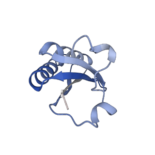 20207_6owg_EC_v1-2
Structure of a synthetic beta-carboxysome shell, T=4